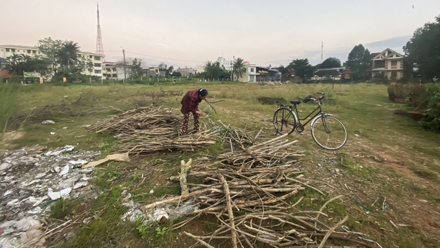 Quảng Ngãi: 'Khai tử' dự án Công viên Tình Yêu - Ảnh 3.