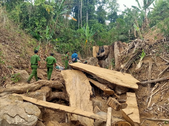 Kon Tum: Bắt quả tang 2 nghi phạm phá rừng - Ảnh 2.