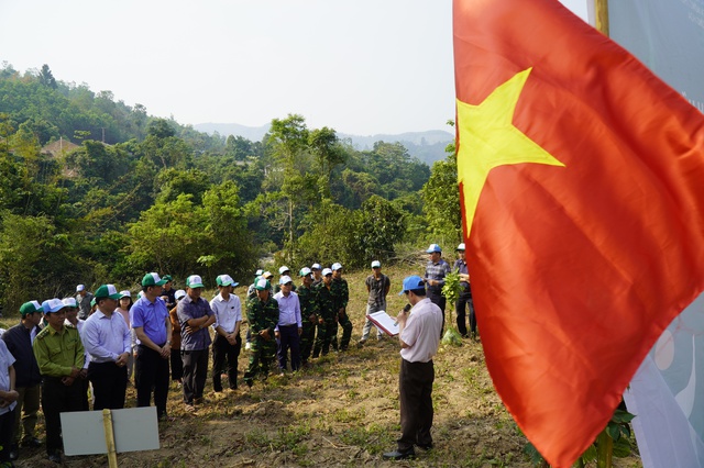 Khởi động trồng hàng trăm ha rừng nơi đầu nguồn sông Thạch Hãn - Ảnh 1.