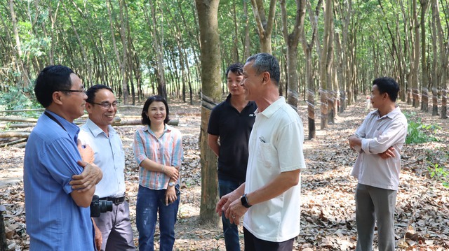 Bình Phước: Nông dân hiến đất tiền tỉ để nhà nước làm đường quy hoạch - Ảnh 3.