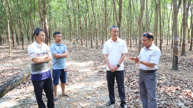 Bình Phước: Nông dân hiến đất tiền tỉ để nhà nước làm đường quy hoạch - Ảnh 2.