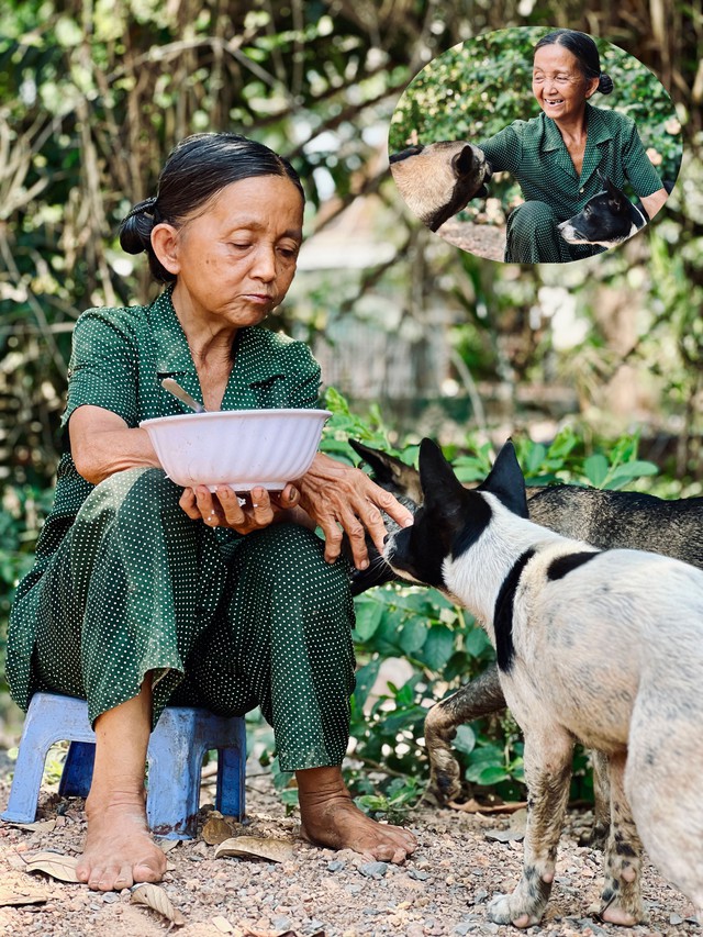 26 năm nhặt ve chai cưu mang chó mèo hoang - Ảnh 2.