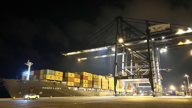 Tuyến nội Á mới của hãng tàu container lớn nhất thế giới kết nối Việt Nam - Ảnh 1.