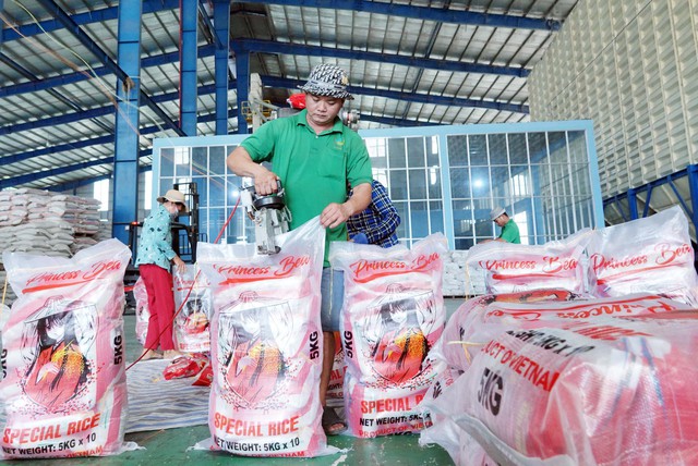 Gạo Việt và Thái đua nhau tăng giá vì Indonesia - Ảnh 1.