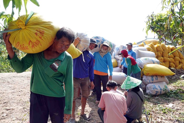 Indonesia xem Việt Nam là một trong 5 nguồn cung chính cho 2 triệu tấn gạo - Ảnh 1.