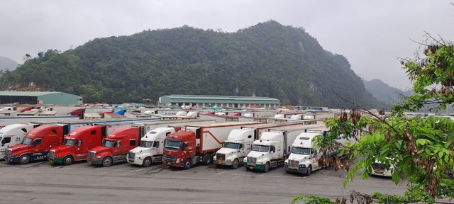 Bình Thuận: Cảnh báo xuất khẩu sang Trung Quốc khi lưu lượng  xe cửa khẩu quá tải - Ảnh 1.