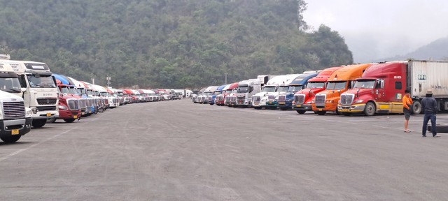 Bình Thuận: Cảnh báo xuất khẩu sang Trung Quốc khi lưu lượng  xe cửa khẩu quá tải - Ảnh 3.