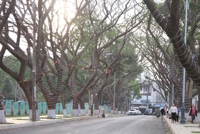 Phố cà phê miễn phí, điểm nhấn trong lễ hội cà phê Buôn Ma Thuột - Ảnh 1.