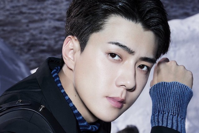 Bạn gái giả mạo của Sehun (EXO) đã 'sống ảo' như thế nào? - Ảnh 1.