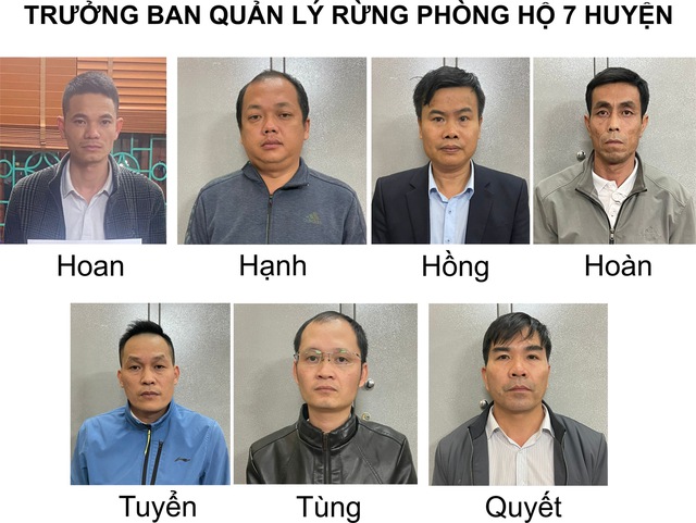 Bắt khẩn cấp hàng loạt Trưởng ban quản lý rừng phòng hộ ở Lai Châu - Ảnh 1.