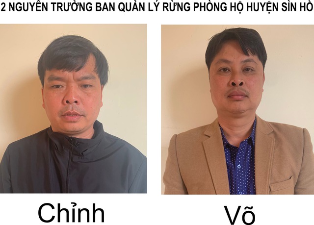 Bắt khẩn cấp hàng loạt Trưởng ban quản lý rừng phòng hộ ở Lai Châu - Ảnh 2.