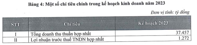 GELEX đặt mục tiêu lãi gần 1.300 tỉ đồng năm 2023 - Ảnh 1.