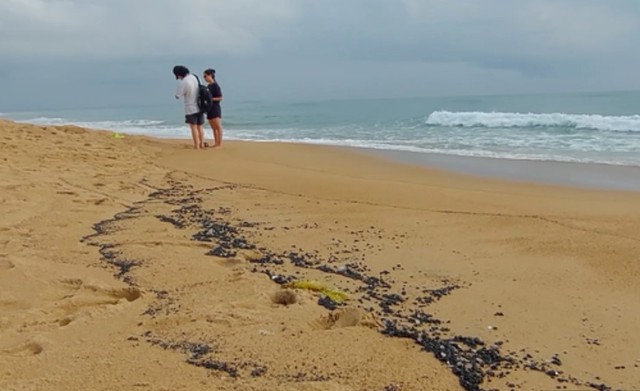 Xuất hiện dầu loang bất thường trên bờ biển ở Phú Yên - Ảnh 1.