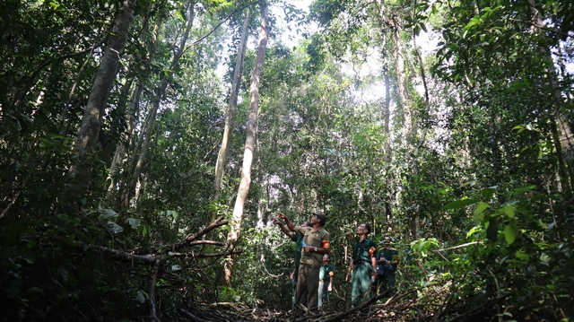 Tỷ lệ che phủ rừng tại Bình Phước là 22,66% - Ảnh 1.