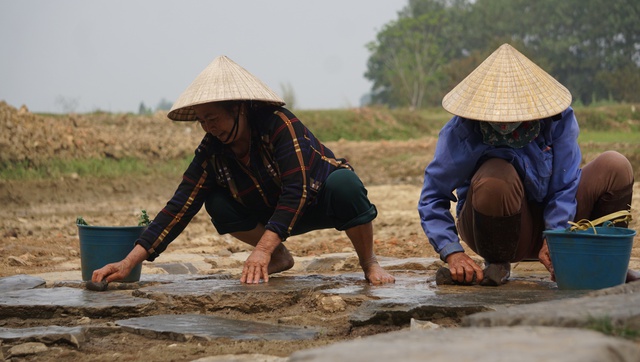 Phát hiện bãi đạn đá, làm rõ quy mô 4 cổng Thành nhà Hồ - Ảnh 2.