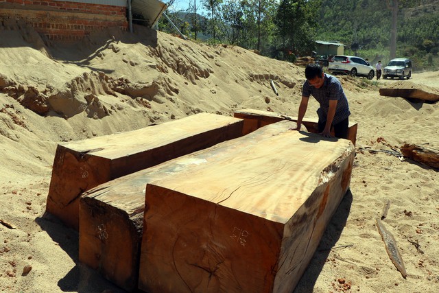 Kon Tum: Công an đột kích bãi tập kết gỗ lậu khủng trong mỏ khai thác cát - Ảnh 2.