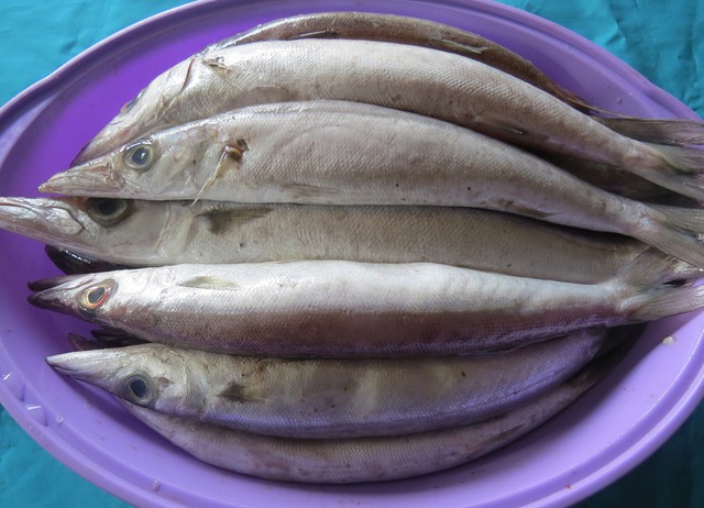 Hương vị quê hương: Cá nhồng kho mặn - Ảnh 2.