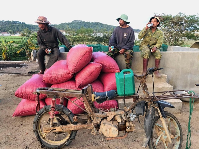 Giấc mơ cà phê đặc sản Việt: Chàng K’Ho làm cà phê Fine Ro - Ảnh 4.