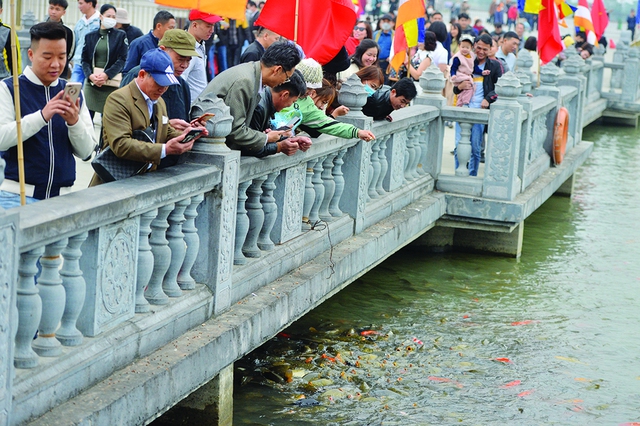 Người dân thích thú ngắm đàn cá chép dưới lòng hồ