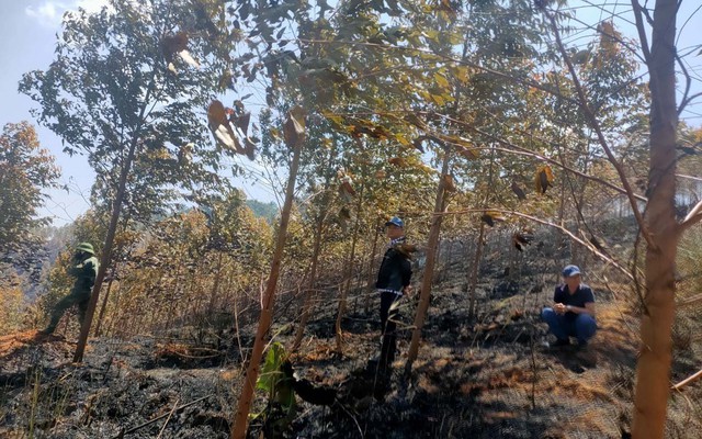 Kon Tum: Cháy rừng khiến 2 công nhân tử vong - Ảnh 1.