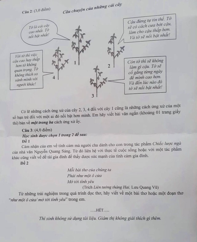 Giáo viên nói gì trước những đề thi môn ngữ văn tại TP.HCM luôn gây &quot;xôn xao&quot;? - Ảnh 7.