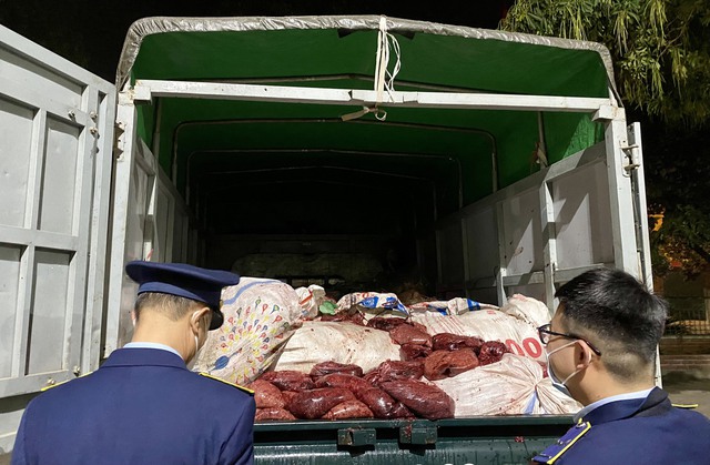 Chặn bắt, buộc tiêu hủy 4 tấn thịt lợn thối tuồn ra thị trường ở Thái Nguyên - Ảnh 1.