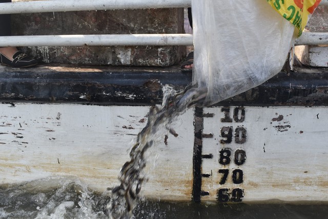 Vĩnh Long: Thả trên 400.000 con cá giống tái tạo nguồn lợi thủy sản - Ảnh 2.