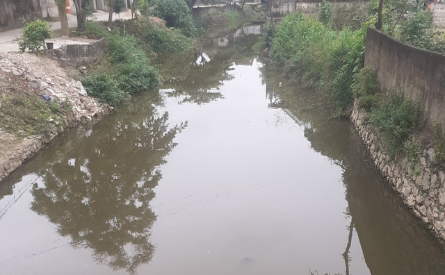 Cán bộ, người dân chung tay dọn dẹp nhánh sông Kiến Giang bị ô nhiễm - Ảnh 3.