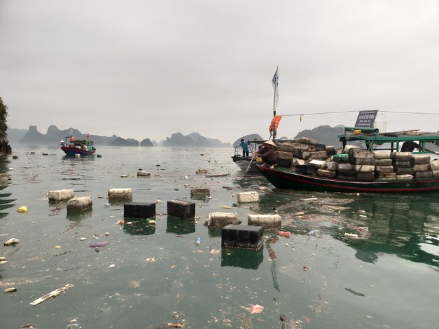 Quảng Ninh: Trước 28.4 sẽ dọn sạch phao xốp trôi nổi trên vịnh Hạ Long - Ảnh 3.