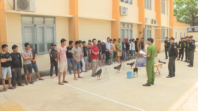 Đắk Lắk: Bắt giữ hàng chục người tham gia sát phạt trong trường gà liên tỉnh - Ảnh 1.
