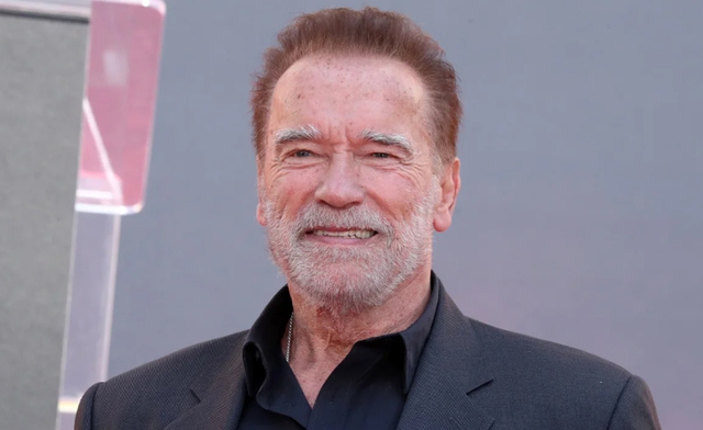 ‘Kẻ hủy diệt’ Arnold Schwarzenegger lấp 'ổ gà' trên đường - Ảnh 1.