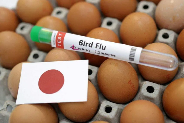 Nhiều nhà hàng Nhật Bản ngưng bán món trứng vì cúm gia cầm gây thiếu trứng gà - Ảnh 1.