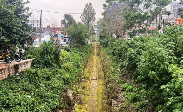 Nhà sản xuất tàu điện hàng đầu thế giới muốn trùng tu đường sắt Đà Lạt - Ảnh 3.