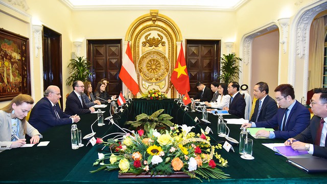 Áo sẽ xem xét tích cực việc ủng hộ EC gỡ bỏ thẻ vàng cho Việt Nam - Ảnh 2.