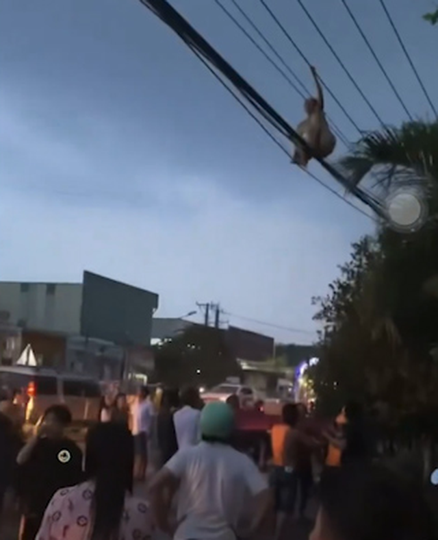 Bình Dương: Người dân hoảng hốt thấy người phụ nữ đi trên dây điện - Ảnh 2.