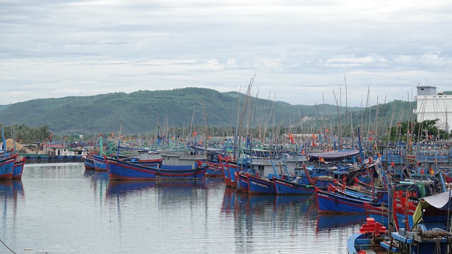 Thủ tướng phê bình 4 tỉnh để tàu cá vi phạm vùng biển nước ngoài - Ảnh 1.