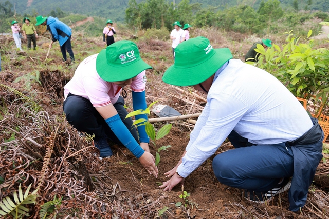 Dự án &quot;Hành trình vì một Việt Nam xanh&quot; tại Thừa Thiên-Huế