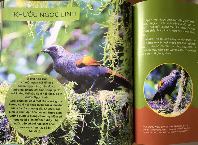 Những cánh chim hoang dã - độc đáo sách ảnh với 45 loài chim đẹp Việt Nam - Ảnh 3.