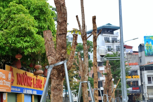 Hà Nội: Hàng loạt cây xanh chết khô trên đường 340 tỉ đồng vừa thông xe - Ảnh 3.