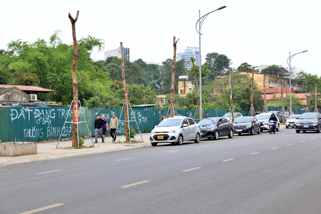 Hà Nội: Hàng loạt cây xanh chết khô trên đường 340 tỉ đồng vừa thông xe - Ảnh 7.