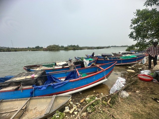 Quảng Ngãi: Tranh chấp trong khai thác ốc gạo, nhiều ngư dân bị đánh - Ảnh 4.