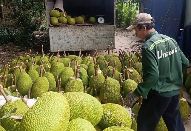 【bóng đá trực tiếp hôm nay】Thông qua Tuyên bố chung thiết lập Đối tác chiến lược toàn diện ASEAN