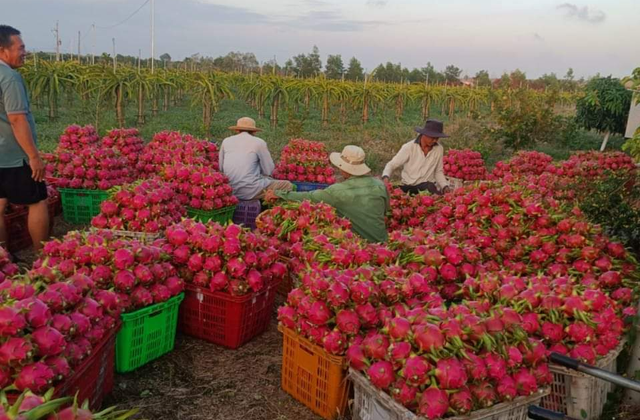 【bóng đá trực tiếp hôm nay】Thông qua Tuyên bố chung thiết lập Đối tác chiến lược toàn diện ASEAN