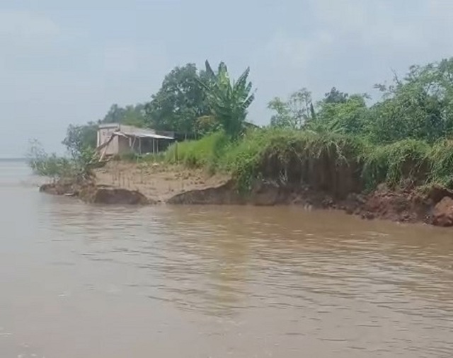 Sạt lở đê bao cồn Thanh Long khiến hơn 17 ha cây ăn trái ngập nước - Ảnh 1.