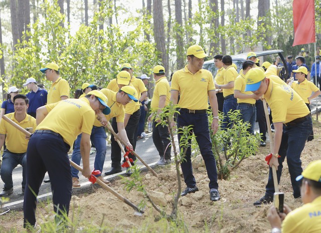 Đông đảo CBNV Nam A Bank ra quân trồng cây mai anh đào tại Đền Hùng