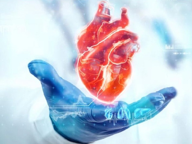 Cải thiện sức khỏe tim bằng cách loại bỏ tế bào ‘zombie’ - Ảnh 1.