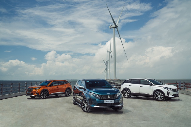 Kỷ niệm 10 năm hợp tác cùng Peugeot, THACO AUTO tri ân đặc biệt đến khách hàng - Ảnh 1.