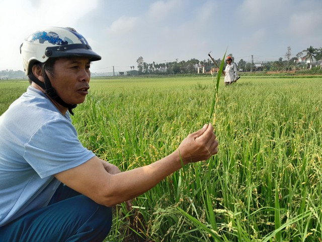 Kon Tum: Thiệt hại 6,8 tỉ đồng do mưa đá  - Ảnh 2.