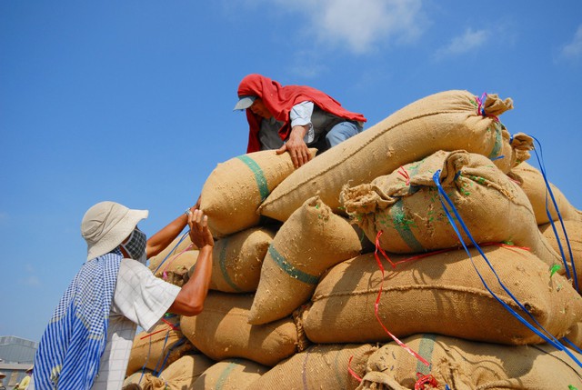 Báo động tình trạng mất an ninh lương thực toàn cầu   - Ảnh 1.