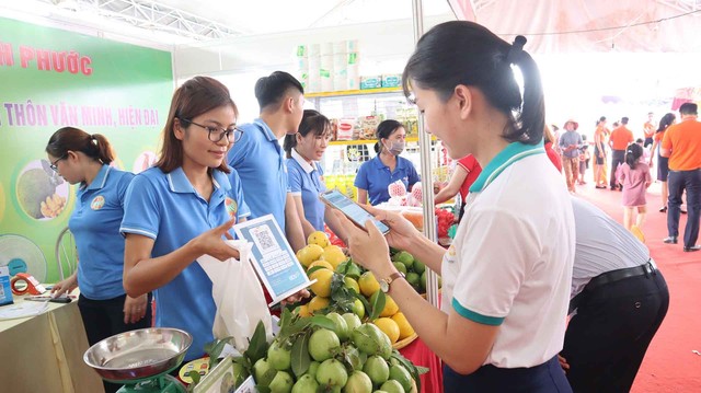 Bình Phước đứng thứ 9/63 tỉnh, thành cả nước về chuyển đổi số - Ảnh 2.